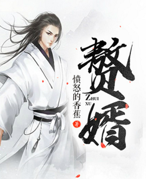 赘婿（上）