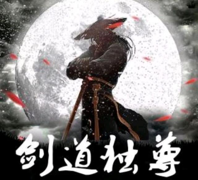 剑道独尊（下）