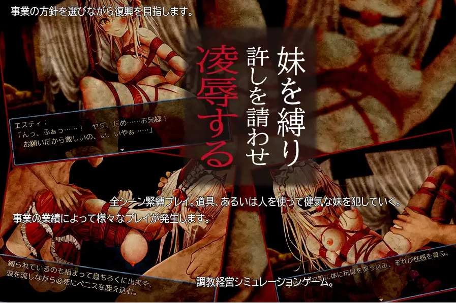 【RPG/安卓+PC】兄妹危险的红线 赤い紐と兄妹のパラフィリア 妹妹背德束缚林汝跳脚【500M】