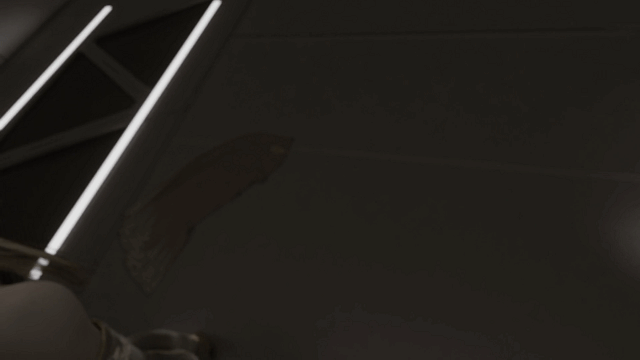[3D动画/无码] LazyProcrast大佬7月作：Fiorayne + Yorha Commander [2.06G/FM/BD]