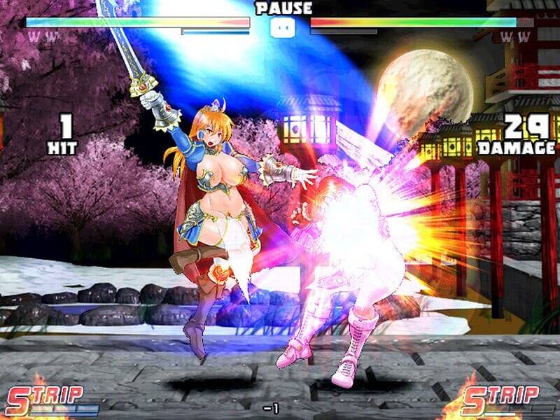 A1689[格斗FTG战斗HPC] 爆衣战士5黑暗武斗会-豪华完整版V1.2hotfix-官中+DLC-第9张-游戏-哥特动漫王国-哥特萝莉社