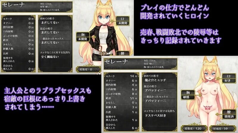 A1817[回合RPG被NTR动态PC]兽耳少女才不会背叛呢（獣耳乙女は裏切らない）V1.01官中-第9张-游戏-哥特动漫王国-哥特萝莉社