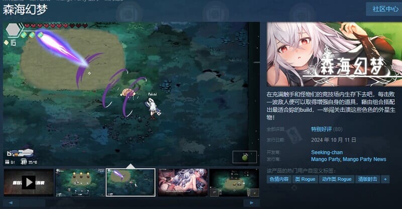 A1789[像素ACT中文]森海幻梦V1.0.6官方中文步兵版[更新]-第5张-游戏-哥特动漫王国-哥特萝莉社