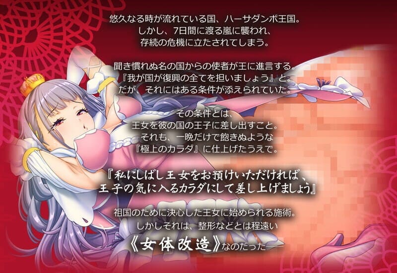 A2242[互动SLG调教羞辱动态PC]身体改造狂乱公主！亡国公主狂暴改造（女体狂乱プリンセス）DL生肉【1.15G/飞猫云转百度云】-第4张-游戏-哥特动漫王国-哥特萝莉社