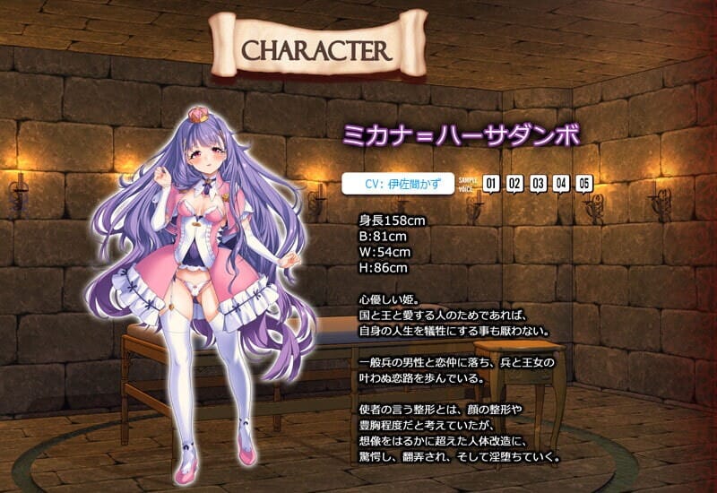 A2242[互动SLG调教羞辱动态PC]身体改造狂乱公主！亡国公主狂暴改造（女体狂乱プリンセス）DL生肉【1.15G/飞猫云转百度云】-第1张-游戏-哥特动漫王国-哥特萝莉社