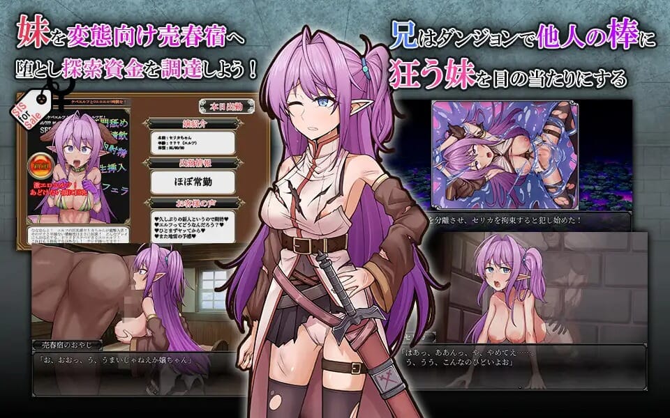 A2521[RPGPCAI汉化]网络出轨发情精灵妹妹剑士塞莉卡ネトラレ発情エルフ妹剣士セリカ+存档[664M/飞猫云转百度云]-第2张-游戏-哥特动漫王国-哥特萝莉社