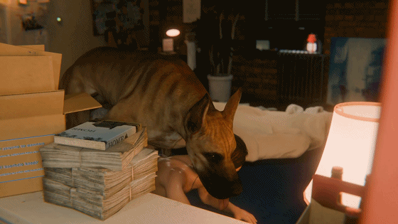 [3D动画/无码] wgqhs 9月作：JILL and Dog NTR [216M/FM/BD]-第1张-动漫-哥特动漫王国-哥特萝莉社