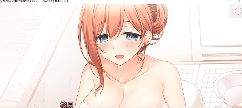 拔作ADV/汉化/动态】妹（姐）想把哥（弟）的性癖扭曲！AI汉化版+全CG存档插图1