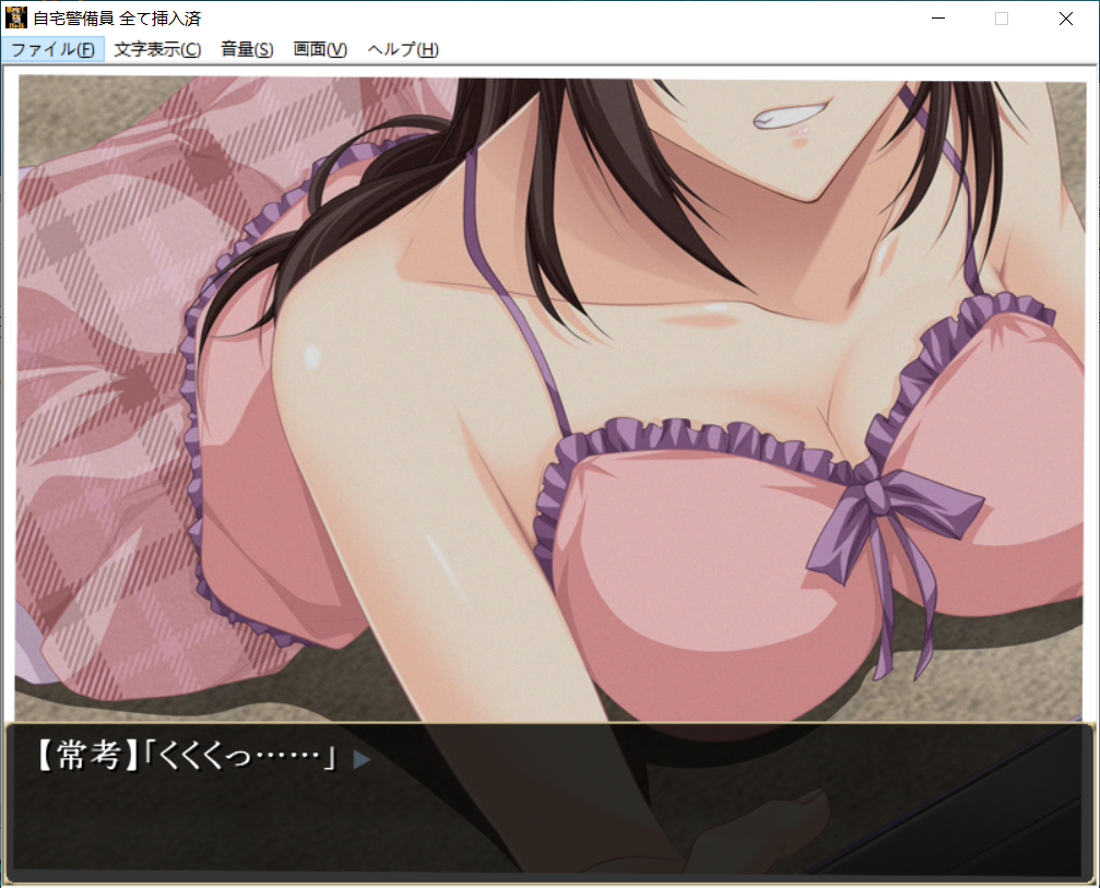 [精品新作ADV/威迫/侵犯/怀孕]自宅警备员 全部已插入 自宅警備員 全て挿入済み 正式版[FM/百度/1.5G]