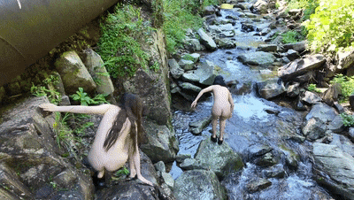 韓版湯唯-林智妍