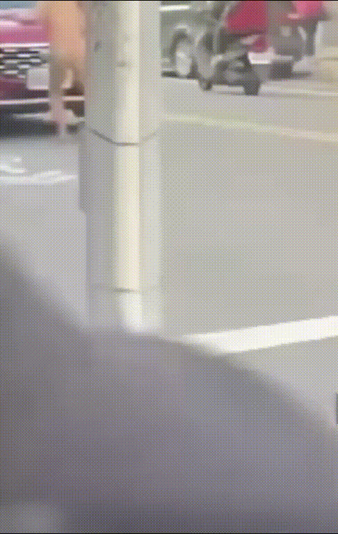 台北街头惊爆裸女狂奔！赤身爬车顶、躺斑马线疯狂翻滚美乳翘臀全暴露，交通瘫痪围观炸 配图2