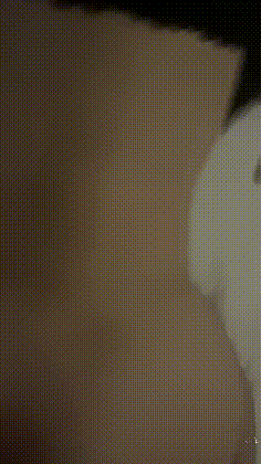 DM_20260506100018_018.GIF