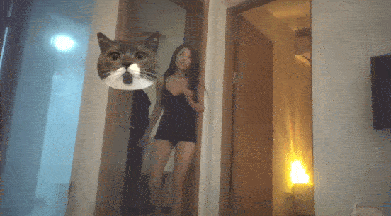 DM_20260610205715_011.gif